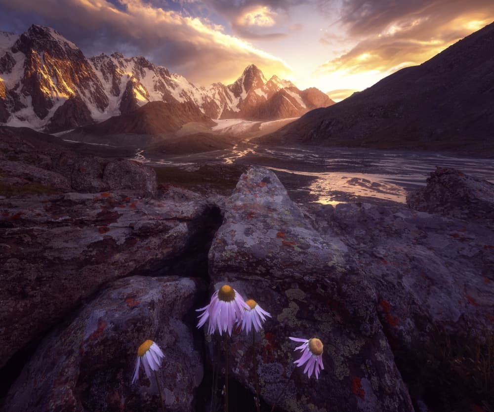 Majestic Mountain Sunset by Damon Hao — canvas wall art