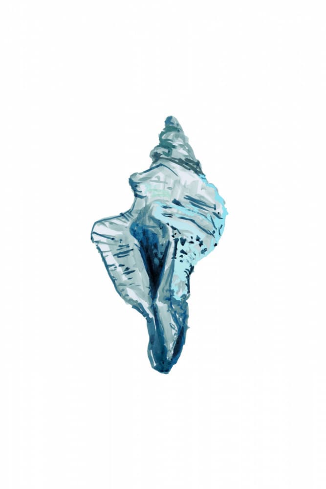 Blue Conch Shell by cartissi — canvas wall art