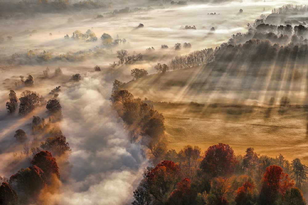 Sun Rays Over Misty Valley by Madison — canvas wall art