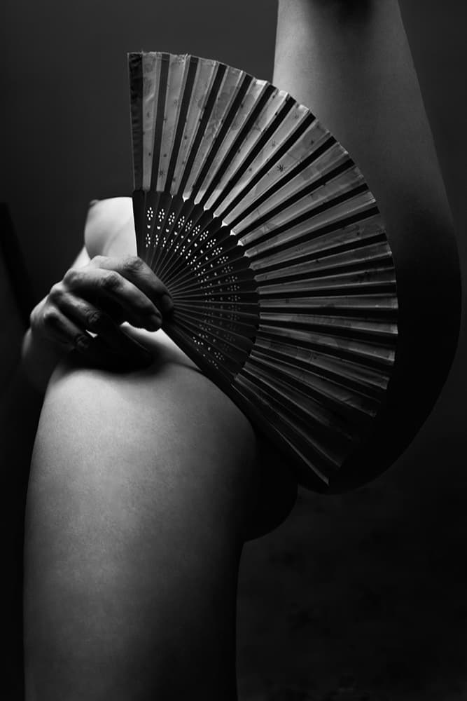 Sensual Fan Study by Mikhail Faletkin — canvas wall art