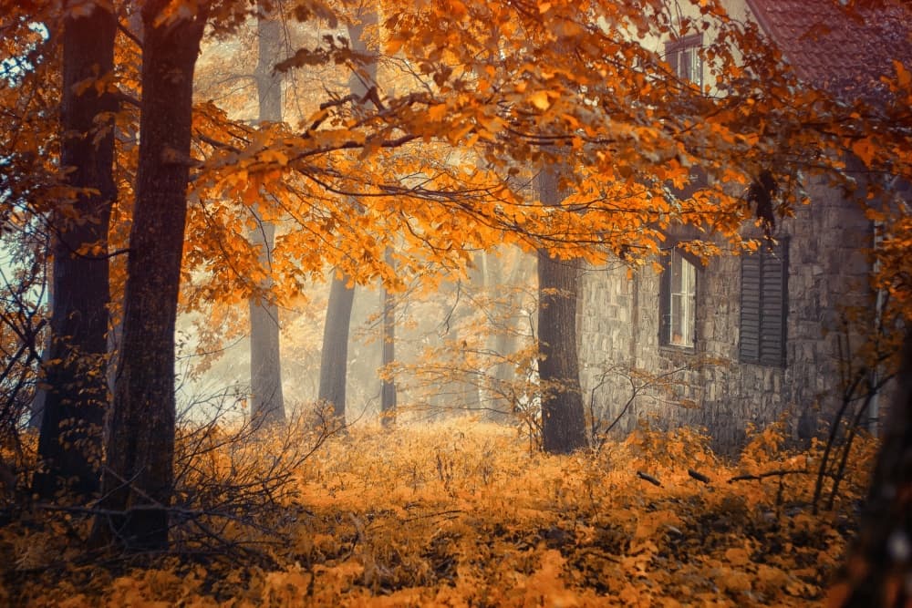 Misty Autumn House by Ildiko Neer — canvas wall art