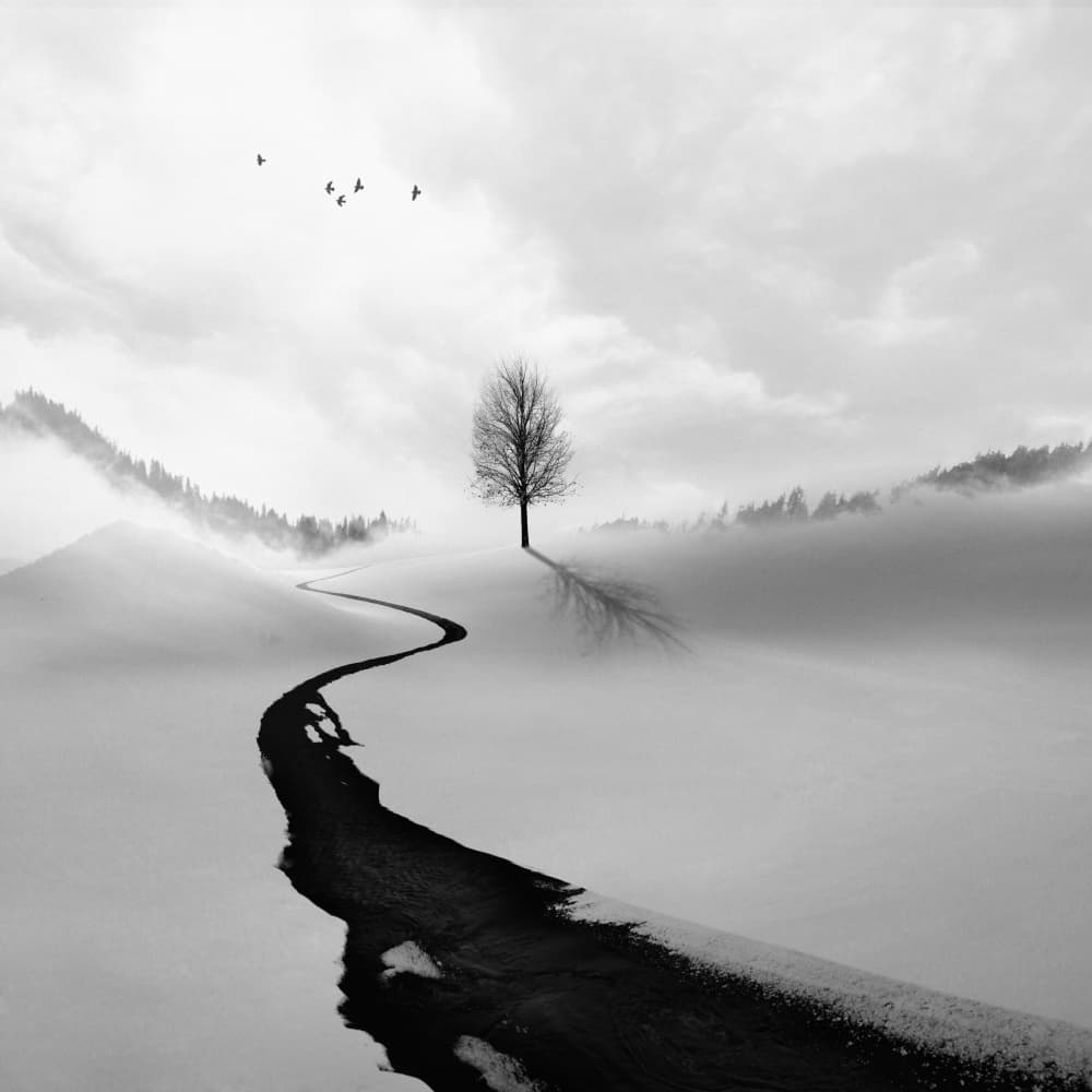 Winter Path Lone Tree by Hadi Malijani (Malenjani) — canvas wall art