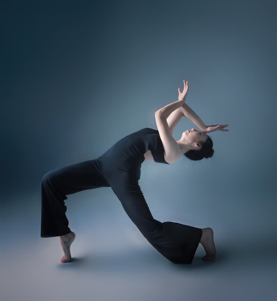 Graceful Dance Form by Catherine Wang — canvas wall art
