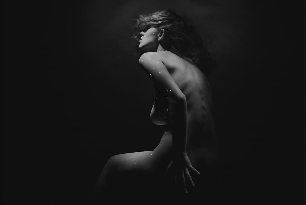 Sensual Form in Shadow by Dimitar Dachev — canvas wall art