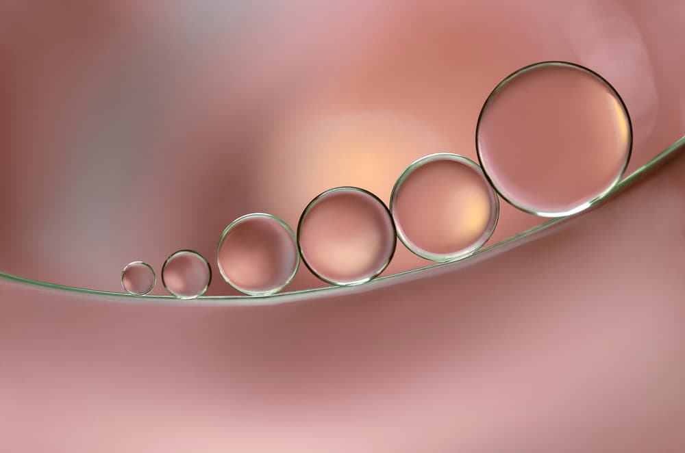 Warm Pink Spheres by Rina Barbieri — canvas wall art
