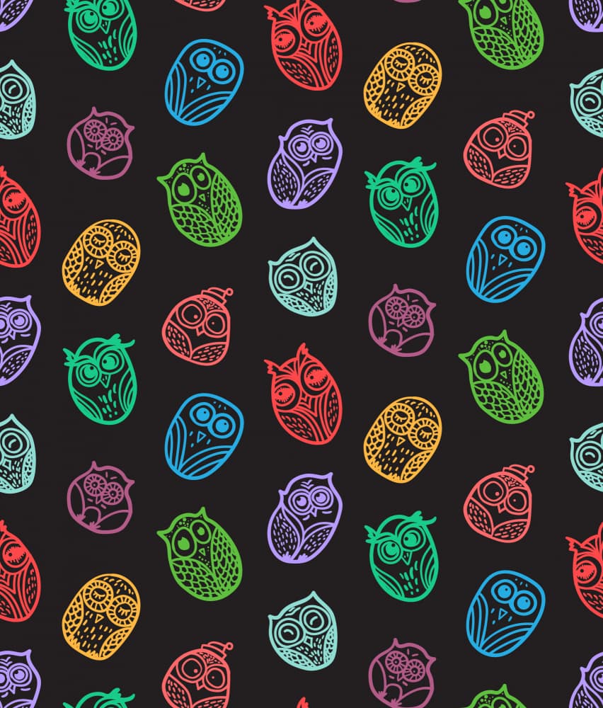 Cute Rainbow Owls by Marika Barsrsind — canvas wall art