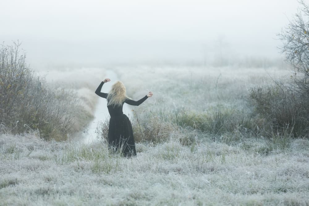 Misty Morning Dance by Leszek Paradowski — canvas wall art