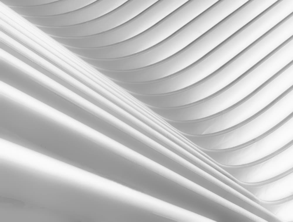 Elegant White Forms by Rob Darby — canvas wall art