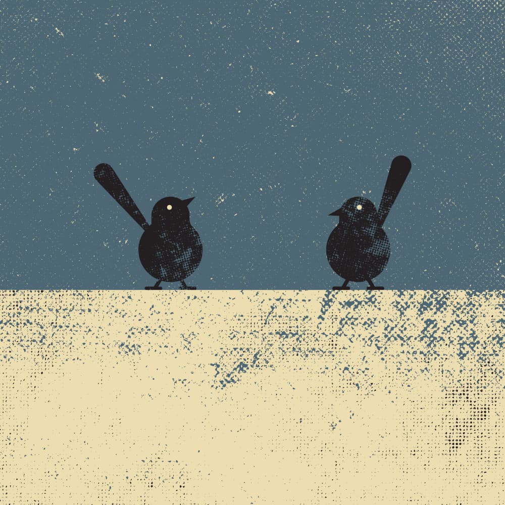 Vintage Night Birds by The Creating Mind — canvas wall art