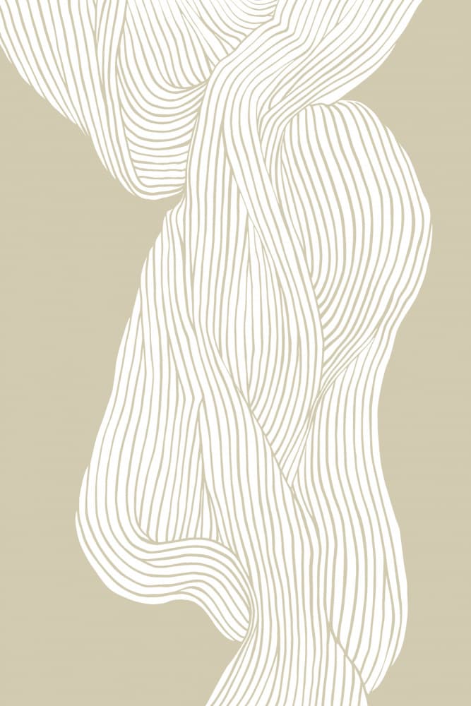 Flowing Lines Ballet by Treechild — canvas wall art