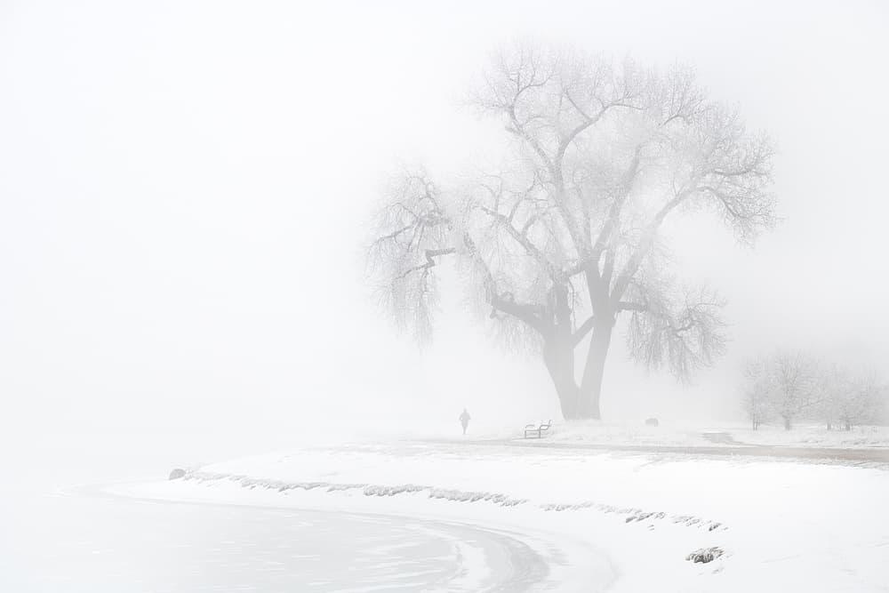Snowy Foggy Tree by Lior Yaakobi — canvas wall art