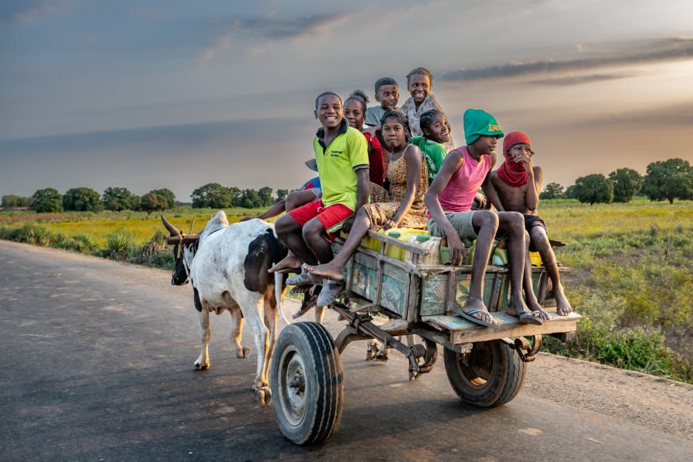 Madagascar Ox Cart Kids by Ilana Lam — canvas wall art