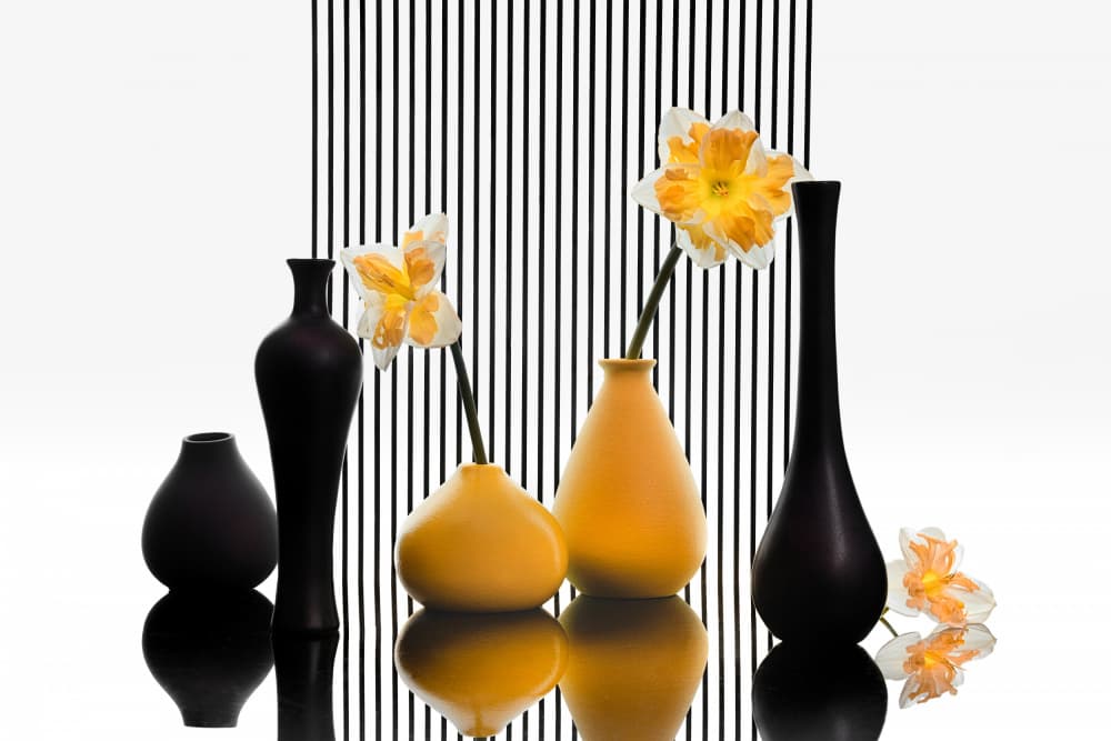 Black Yellow Still Life by Lydia Jacobs — canvas wall art