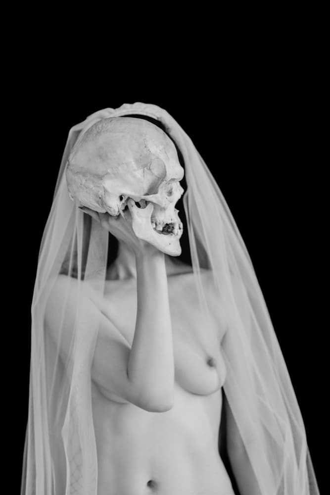 Veiled Skull Nude by Zanna — canvas wall art