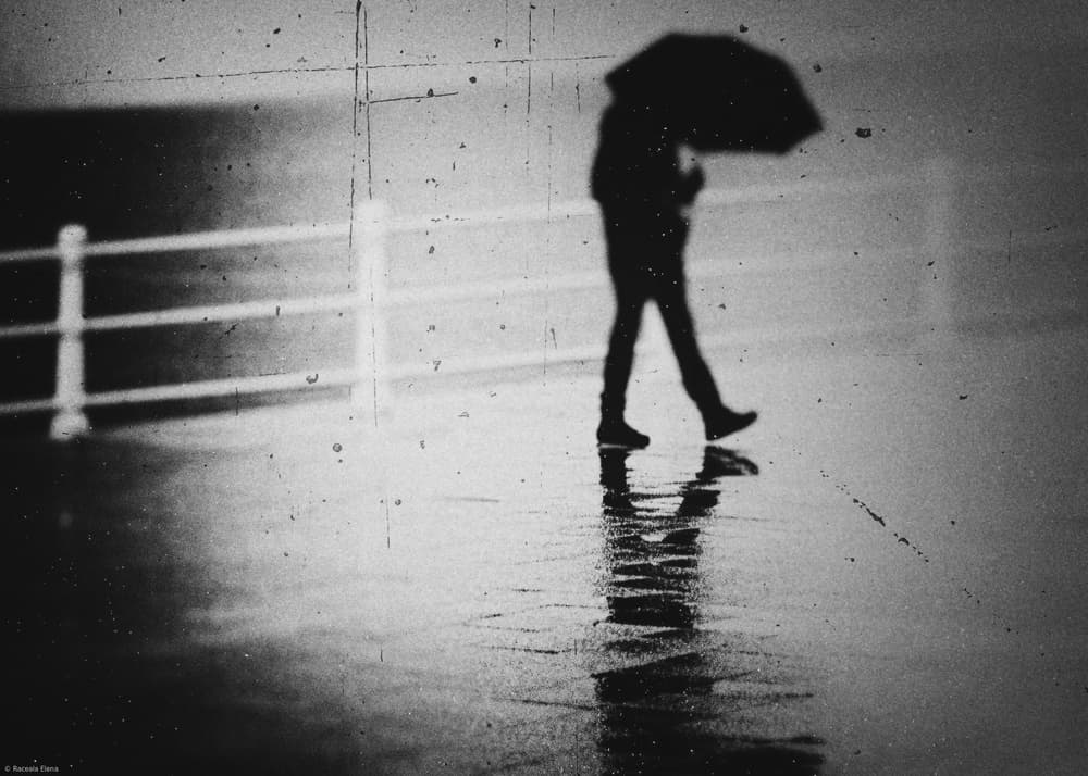 Solitary Rainy Walk by Elena Raceala — canvas wall art