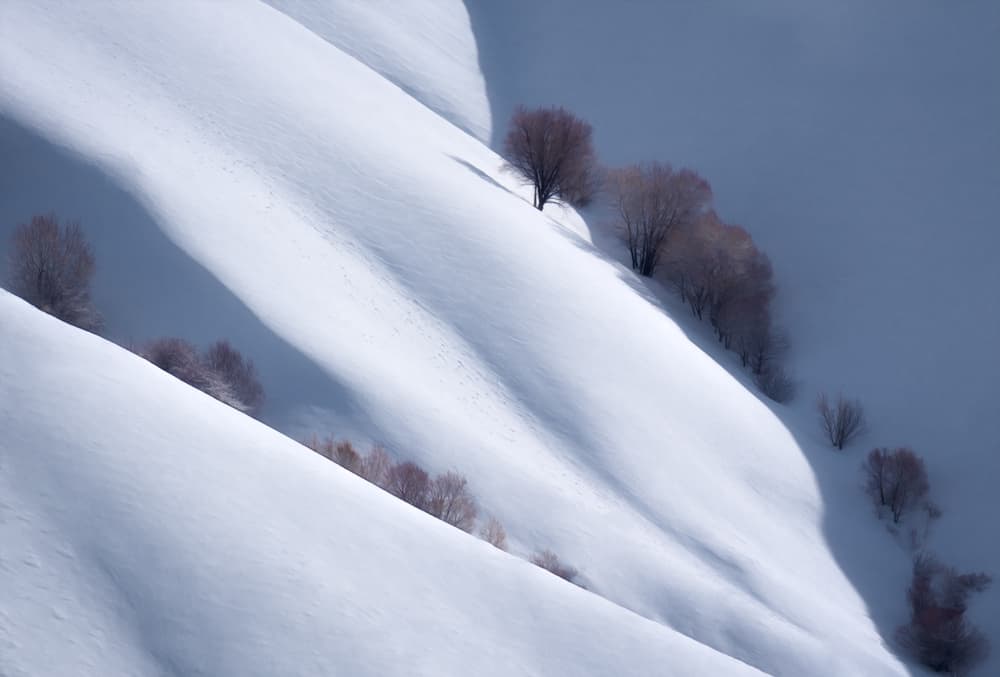 Snowy Winter Slopes by Majid Behzad — canvas wall art