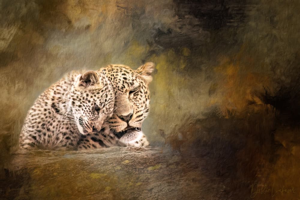 Leopard Family Tenderness by Debbie Lefever — canvas wall art