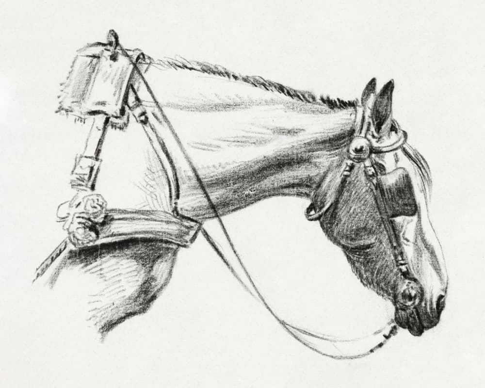 Head of a Horse (1820)