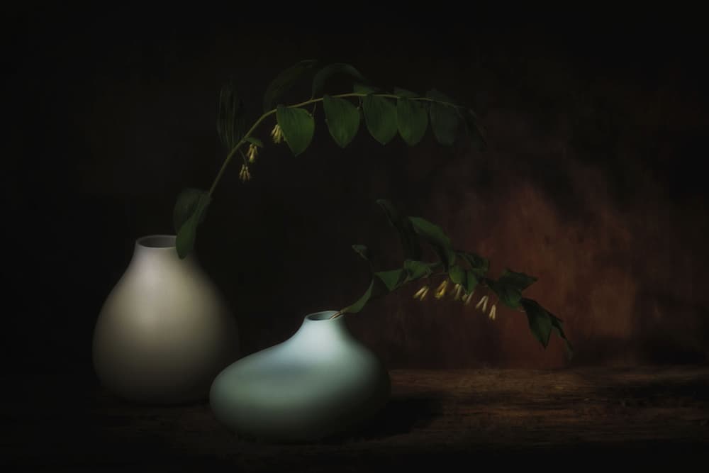 Serene Botanical Still Life by Saskia Dingemans — canvas wall art