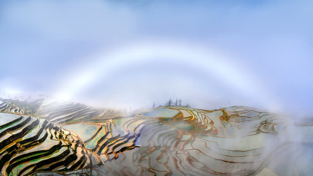 Misty Terraces Fog Bow by Hua Zhu — canvas wall art