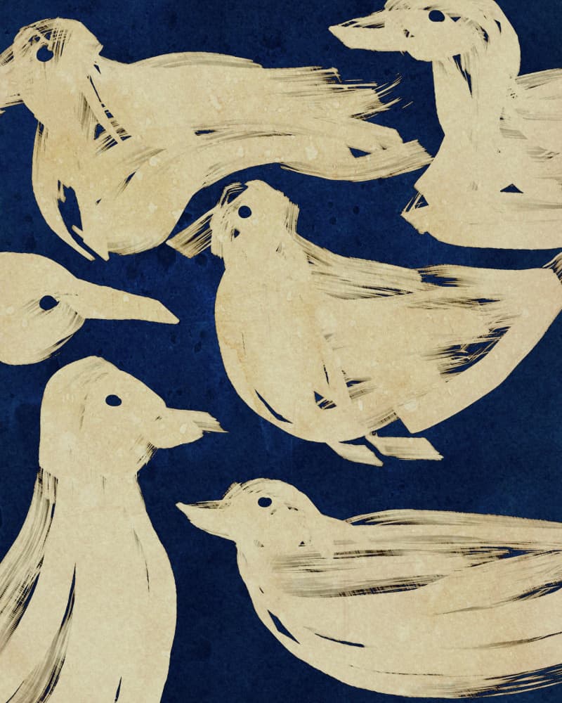 Swimming White Ducks by Josie George — canvas wall art