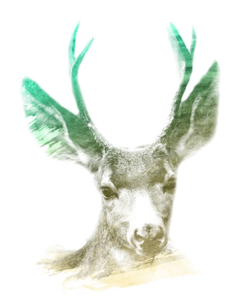 Majestic Green Deer by Emiliano Deificus — canvas wall art