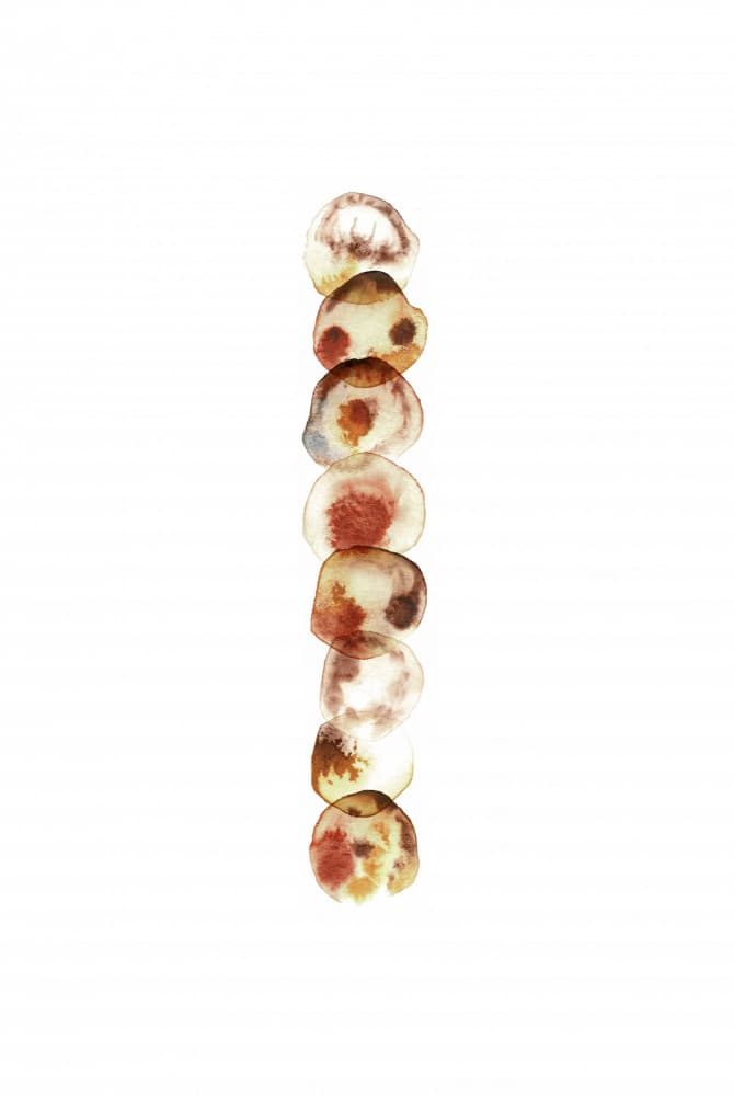 Earthy Abstract Stack by Fabiana Silveira — canvas wall art