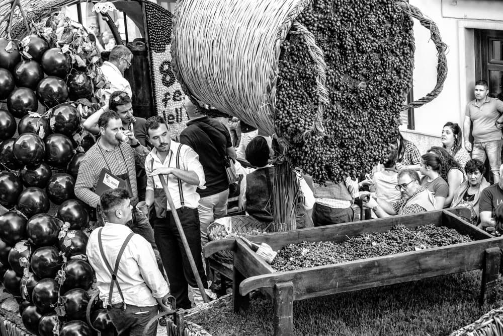 Grape Harvest Festival by Raffaele Maglione — canvas wall art