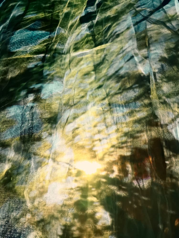 Dreamy Forest Sunlight by Angelo Cerantola — canvas wall art