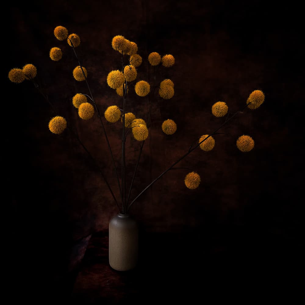 Yellow Sphere Still Life by Annie Poreider — canvas wall art