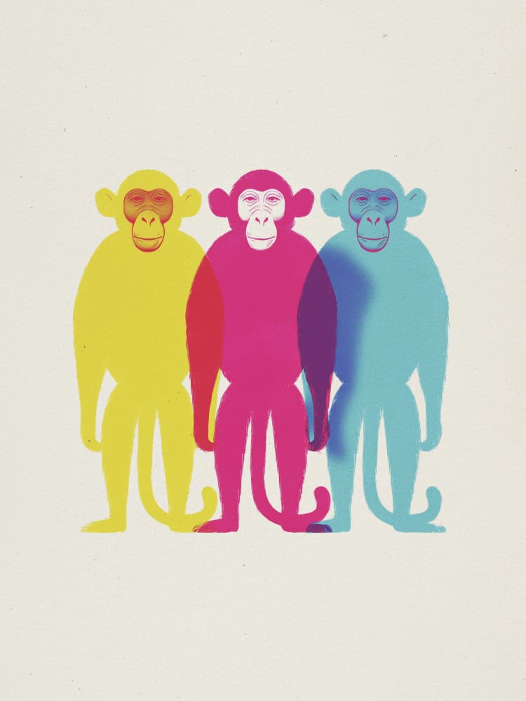 Pop Art Monkeys by Andreas Magnusson — canvas wall art