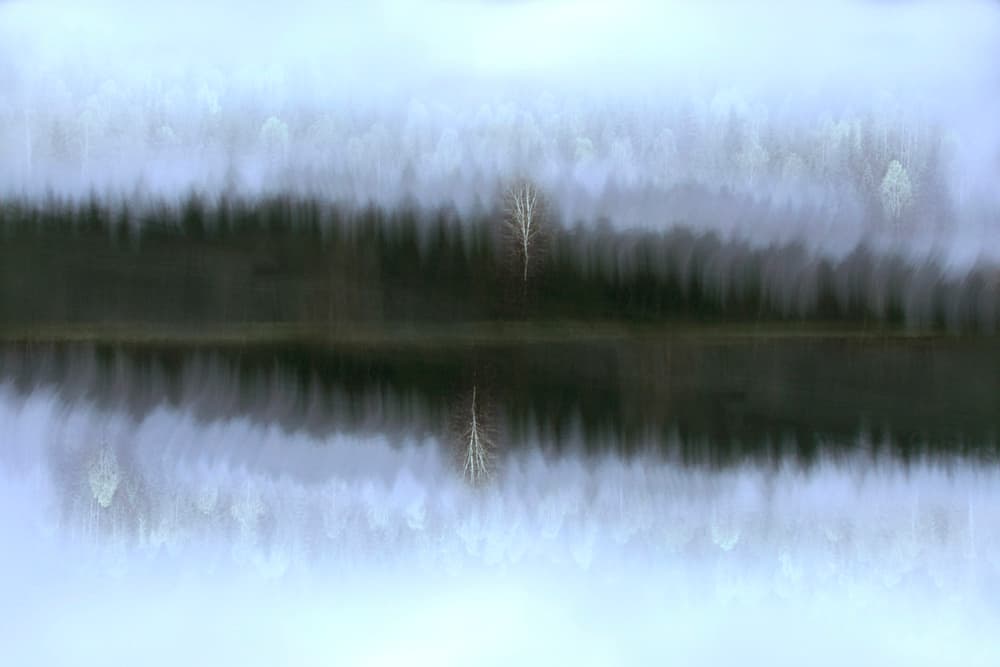 Misty Birch Reflection by Christina Sillèn — canvas wall art