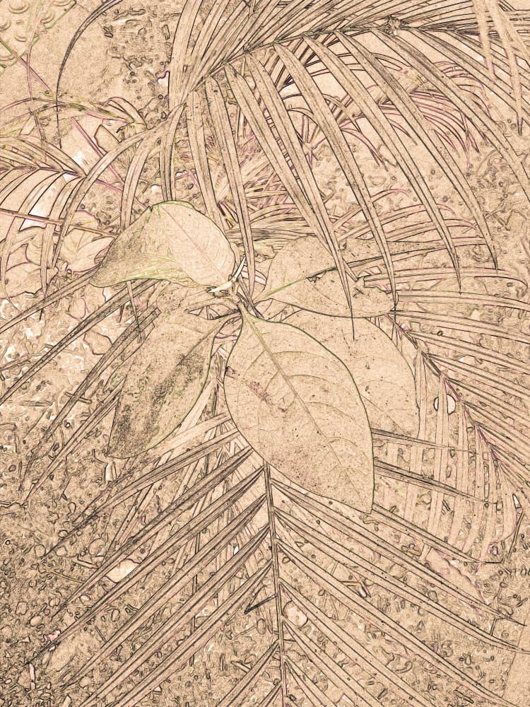 Sketched Tropical Foliage by Santhosh ch — canvas wall art
