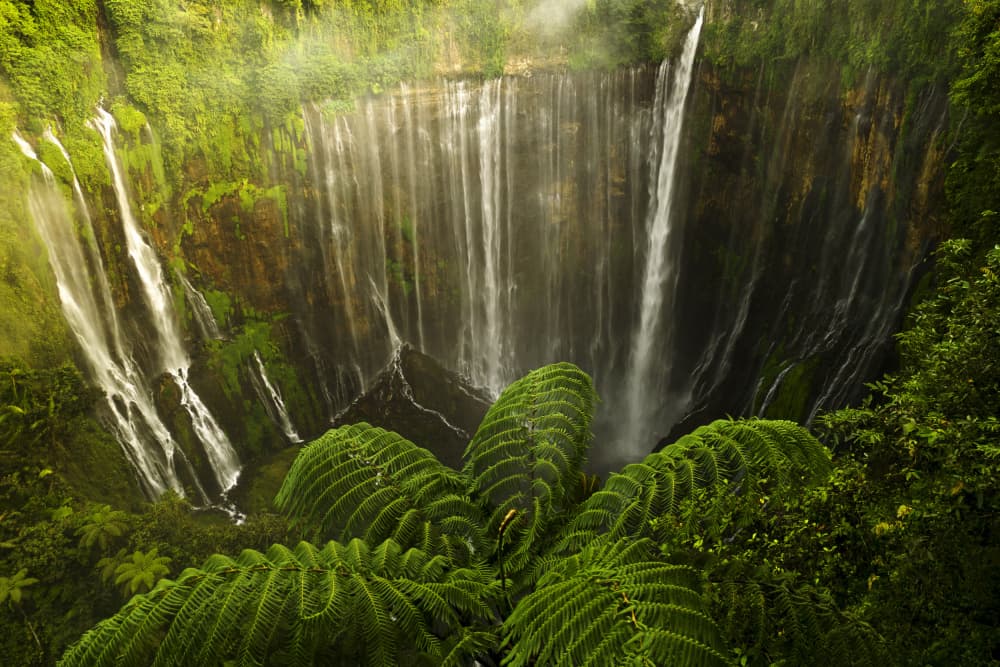 Majestic Jungle Cascades by Arief Siswandhono — canvas wall art