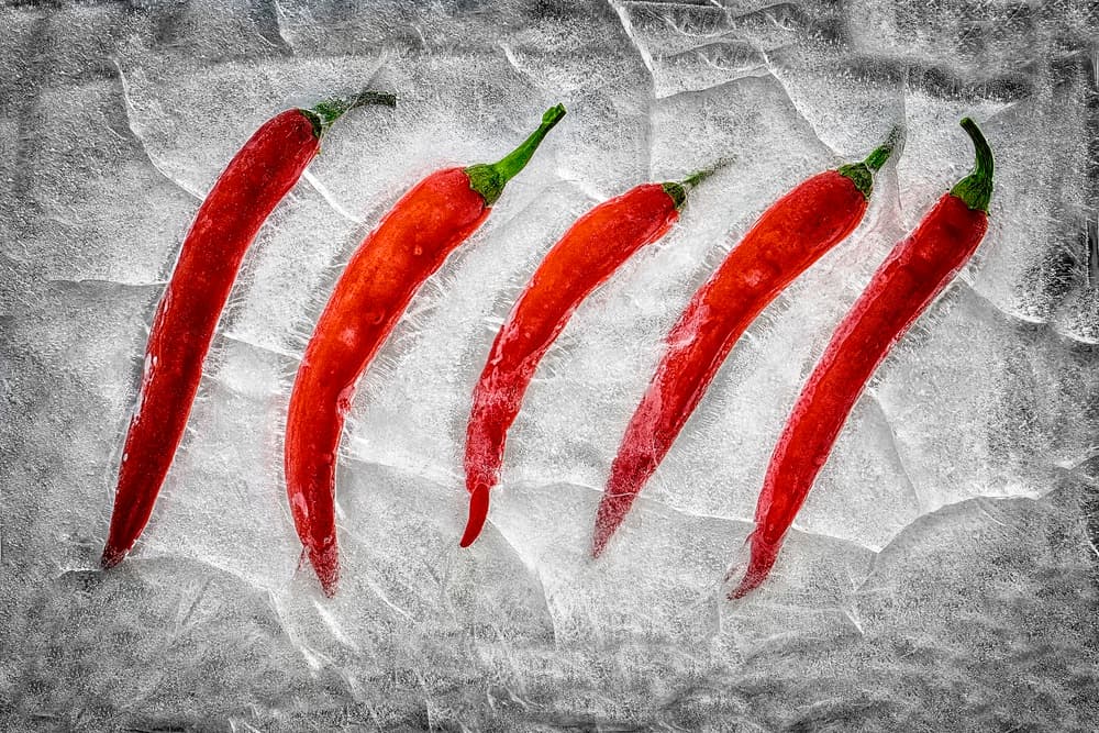 Frozen Hot Chili Peppers by Secundino Losada — canvas wall art
