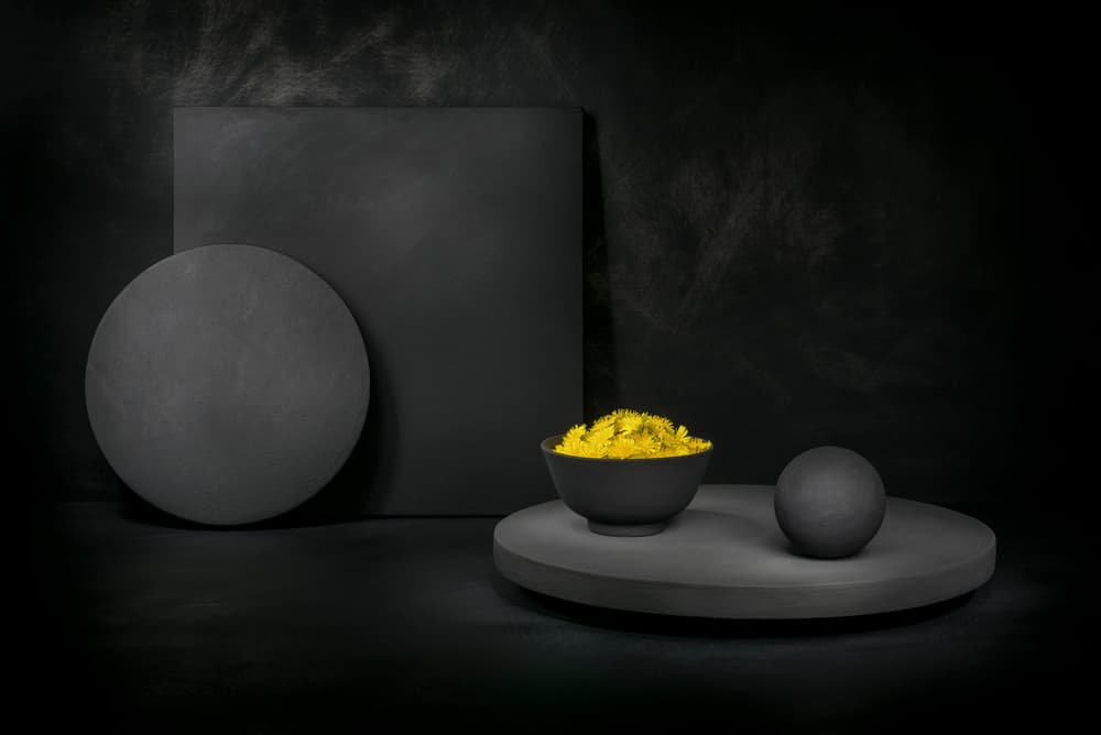 Yellow Dandelions Still Life by Christophe Verot — canvas wall art