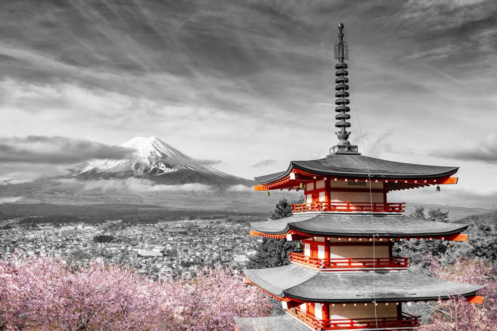 Cherry Blossoms Mount Fuji Pagoda by Melanie Viola — canvas wall art