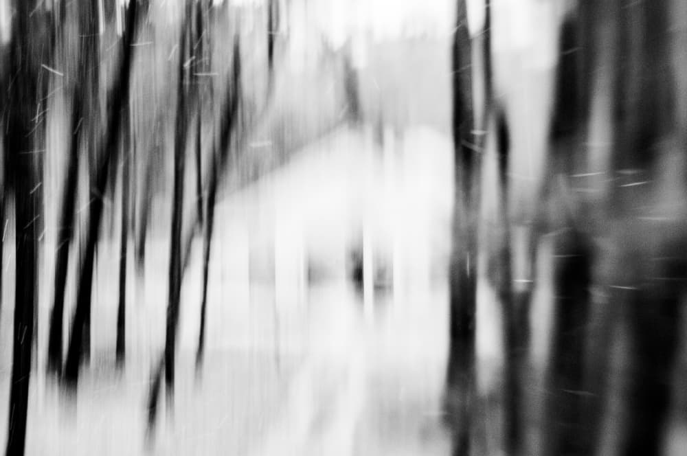 House in the forest by Imaginative — canvas wall art