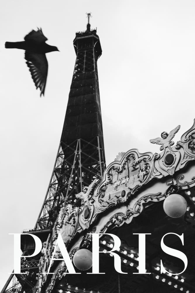 Paris Dove by Rikard Martin — canvas wall art