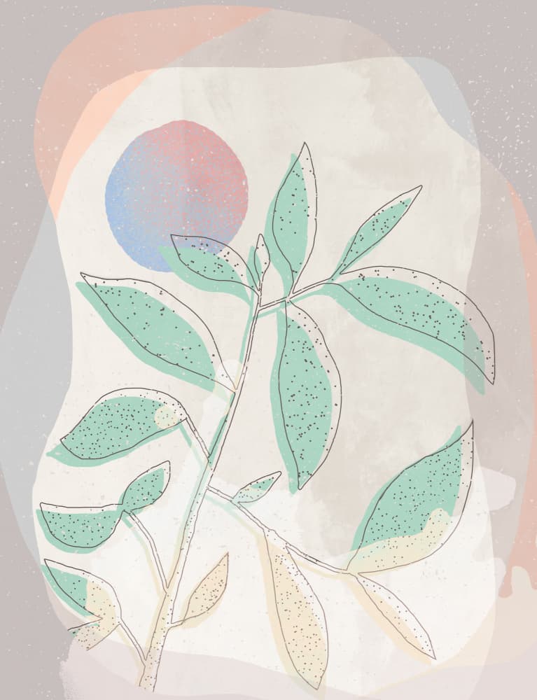 Pastel Botanical Forms by Aylin Demir — canvas wall art