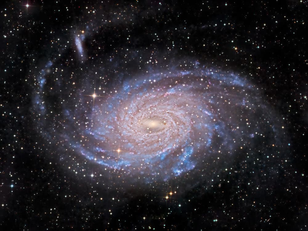 Majestic Spiral Galaxy by Vikas Chander — canvas wall art