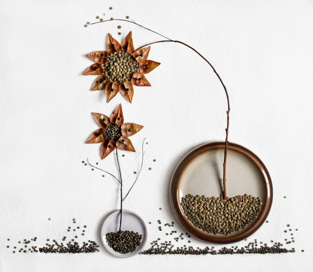 Earthy Floral Composition by Dimitar Lazarov - Dim — canvas wall art