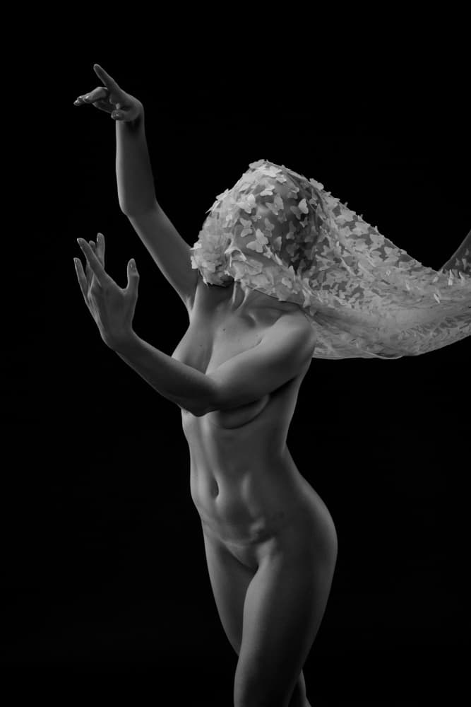 Ethereal Butterfly Dance by Tran Van Truong — canvas wall art
