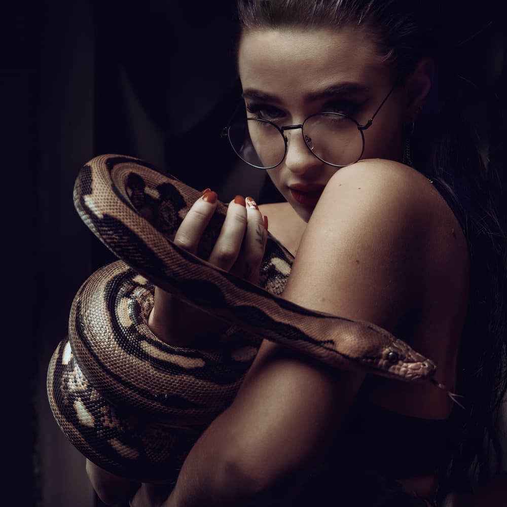 Dark Allure Snake Portrait by Robert Girmencea — canvas wall art