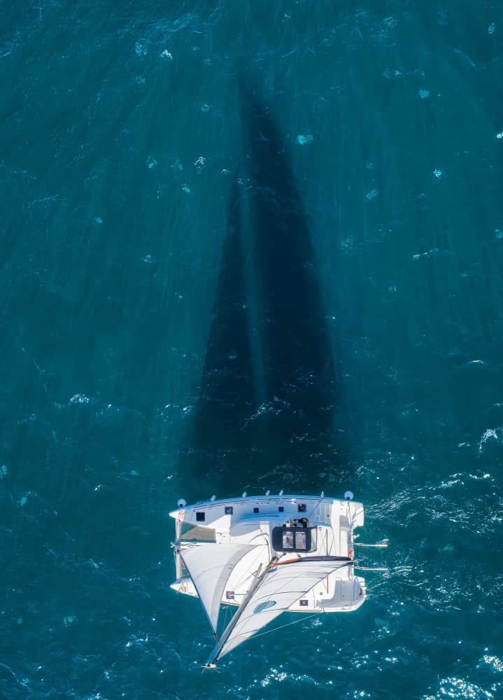 Catamaran Ocean Shadows by Ido Meirovich — canvas wall art