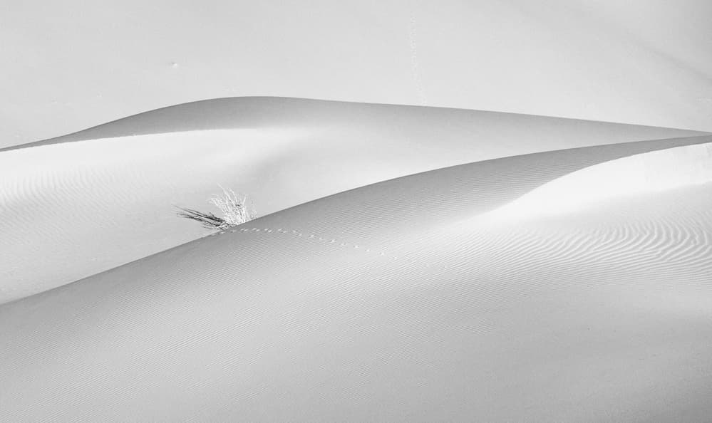 Serene Desert Forms by Babak Mehrafshar — canvas wall art