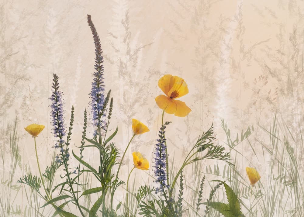 Untitled by Nel Talen — canvas wall art