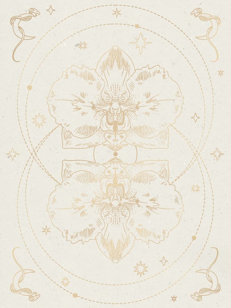The mystical orchid by NKTN — canvas wall art