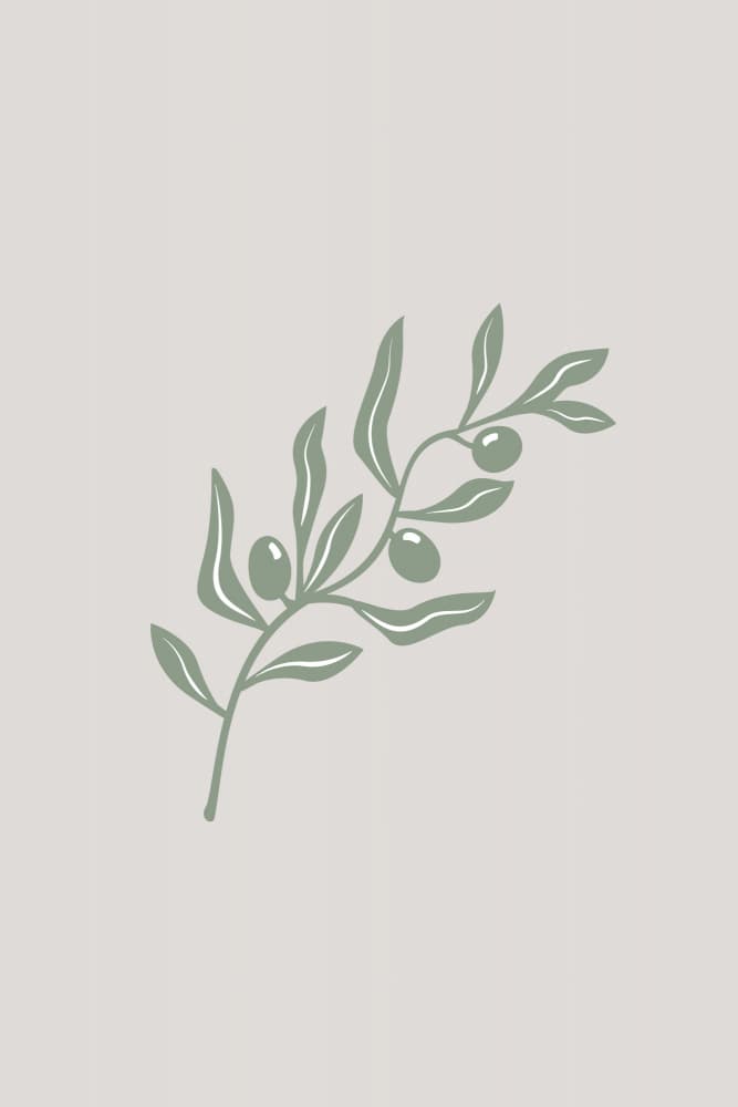Minimalist Olive Branch by Karen Menzenbach — canvas wall art
