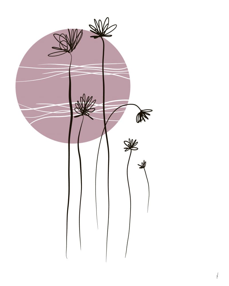 Blush Moon Flowers by Ankie Kooi — canvas wall art